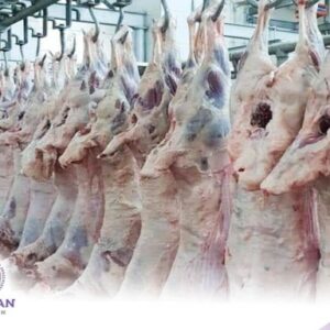 Eid Al-Adha 2023