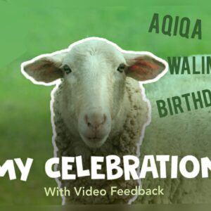 My Celebration