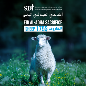 Eid Al-Adha Sacrifice in Yemen
