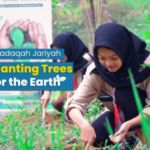 Let’s Adopt Trees in Indonesia